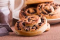 Chocolate chip brioche buns. Royalty Free Stock Photo