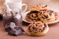 Chocolate chip brioche buns. Royalty Free Stock Photo