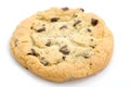 Chocolate Chip Cookie Royalty Free Stock Photo