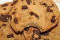 Chocolate Chip Cookie with Bite Taken Royalty Free Stock Photo