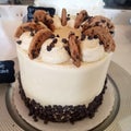 Chocolate chip cookie cake