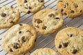 Chocolate Chip cookie and Cooling rack Royalty Free Stock Photo