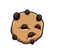 A Yummy Looking Chocolate Chip Cookie