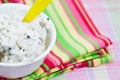 Chocolate chip cookie dough ice cream Royalty Free Stock Photo