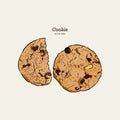 Chocolate chip cookie, hand draw vector