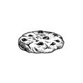 Chocolate chip cookie. Hand drawn sketch style. Fresh baked. American biscuit. Vector illustration isolated on white