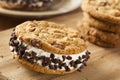 Chocolate Chip Cookie Ice Cream Sandiwch Royalty Free Stock Photo