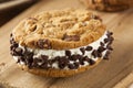 Chocolate Chip Cookie Ice Cream Sandiwch Royalty Free Stock Photo