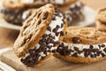 Chocolate Chip Cookie Ice Cream Sandiwch Royalty Free Stock Photo