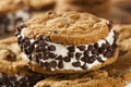 Chocolate Chip Cookie Ice Cream Sandiwch Royalty Free Stock Photo