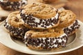 Chocolate Chip Cookie Ice Cream Sandiwch Royalty Free Stock Photo