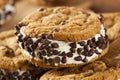 Chocolate Chip Cookie Ice Cream Sandiwch Royalty Free Stock Photo