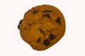 Chocolate chip cookie isolated on white background Royalty Free Stock Photo