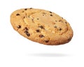 Chocolate chip cookie isolated on white with clipping path Royalty Free Stock Photo