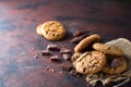 Chocolate chip cookie Royalty Free Stock Photo