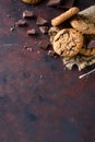 Chocolate chip cookie Royalty Free Stock Photo