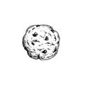 Chocolate chip cookie. Top view. Hand drawn sketch style. Fresh baked. American biscuit. Vector illustration isolated on white