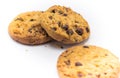 Chocolate chip cookie white background Royalty Free Stock Photo