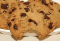 Chocolate Chip Cookies, with Bite Taken, Close-up Royalty Free Stock Photo