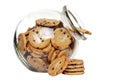 Chocolate chip cookies in a cookie jar Royalty Free Stock Photo