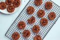 Chocolate chip cookies with crumbs Royalty Free Stock Photo