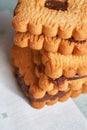 Chocolate chip cookies on dark old wooden table with place for text., freshly baked. Macro. Selective Focus with Copy space. Royalty Free Stock Photo