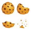 Chocolate Chip Cookies In Different Eating Stages