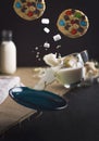 Chocolate chip cookies and the marshmallows falling into the glass of milk Royalty Free Stock Photo