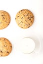 Chocolate chip cookies with milk on the white background Royalty Free Stock Photo