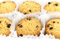 Chocolate chip cookies placed in the white ruffled paper baking molds in the plastic packaging close-up Royalty Free Stock Photo