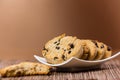 Chocolate chip cookies on a plate Royalty Free Stock Photo