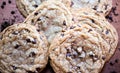 Chocolate chip cookies on a platter closeup Royalty Free Stock Photo