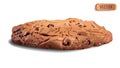 Chocolate chip cookies. Realistic vector illustration of homemade baking