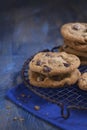 Chocolate Chip Cookies on a rustic cooling rack Royalty Free Stock Photo