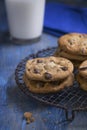 Chocolate Chip Cookies on a rustic cooling rack Royalty Free Stock Photo