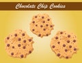 Chocolate chip cookies vector, cookie vector, bakery