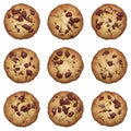 Chocolate chip cookies vector set Royalty Free Stock Photo