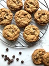 Chocolate chip cookies