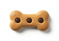 Chocolate chip dog bone cookie Royalty Free Stock Photo