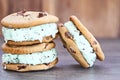 Chocolate Chip Mint Ice Cream Cookie Sandwiches Royalty Free Stock Photo