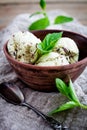 Chocolate chip mint ice cream Royalty Free Stock Photo