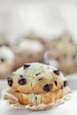 Chocolate chip muffin