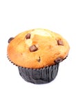 Chocolate Chip Muffin