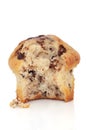 Chocolate Chip Muffin Royalty Free Stock Photo