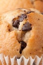 Chocolate Chip Muffin Royalty Free Stock Photo