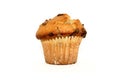 Chocolate Chip Muffin Royalty Free Stock Photo