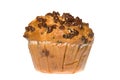 Chocolate Chip Muffin Royalty Free Stock Photo