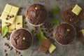 Chocolate chip muffin with chocolate bar. White and dark chocolate Royalty Free Stock Photo