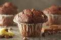 Chocolate chip muffin with chocolate bar. White and dark chocolate Royalty Free Stock Photo