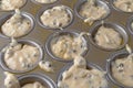 Chocolate chip muffin batter in a baking pan Royalty Free Stock Photo